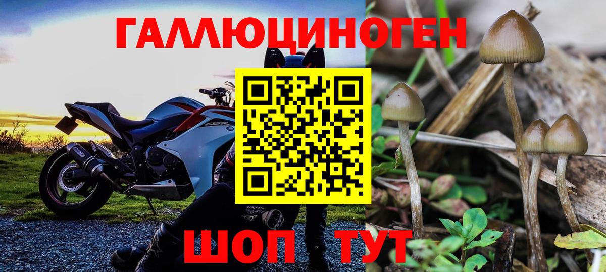 Дзержинский  сколько стоит  Вход с VPN  Галлюциногенные грибы Cubensis  Псилоцибиновые грибы прущие грибы 